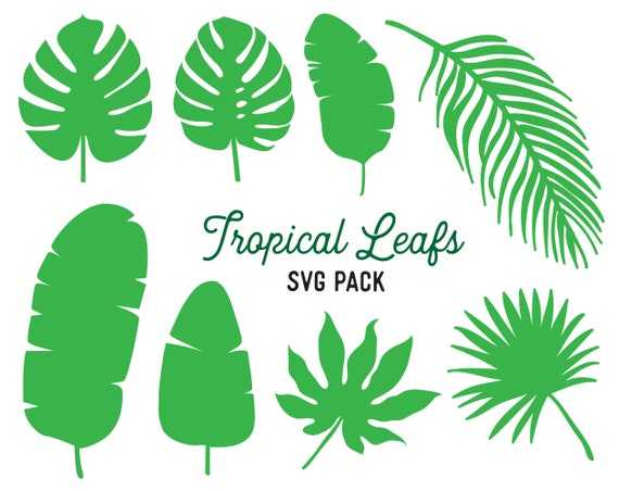 Download Leaf Svg Bundle Monstera Clipart Svg Pack Tropical Leaf Etsy
