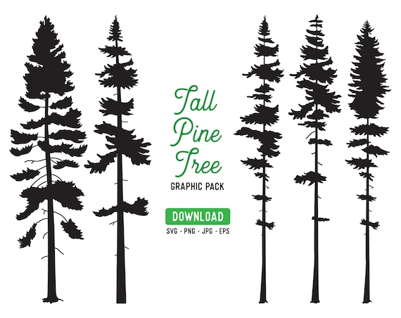 89-00242 Tall Pine Tree Stencil