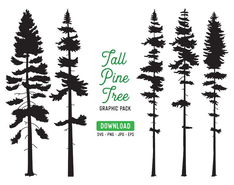 May include: Silhouette of five tall pine trees against a white background. The trees are all the same shape, but vary in size. The text "Tall Pine Tree Graphic Pack" is at the top of the image, and the text "Download SVG - PNG - JPG - EPS" is at the bottom.