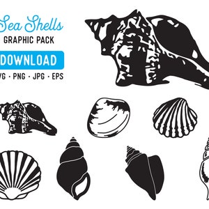 Sea Svg Sea Shells Svg Beach Svg Summer Sea Life Shell Etsy 日本 Sea Svg Sea Shells Svg Beach Svg Summer Sea Life Shell Etsy 日本