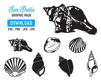 sea shell svg, sea shell stencil, sea shell clipart, shell vector, shell silhouette, shell stencil, sea shell vector, sea shell eps