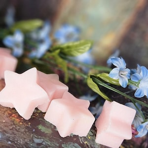 May include: Several small, pale pink wax melts shaped like five-pointed stars are arranged in a cluster. The star-shaped wax pieces have a smooth, matte finish and are positioned alongside a sprig of small, light blue flowers with green leaves.