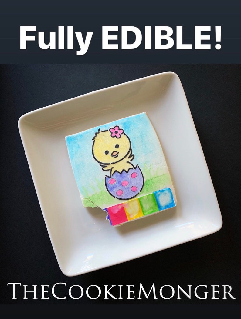 Edible Paint Palettes24 Strips6color Rainbow Etsy