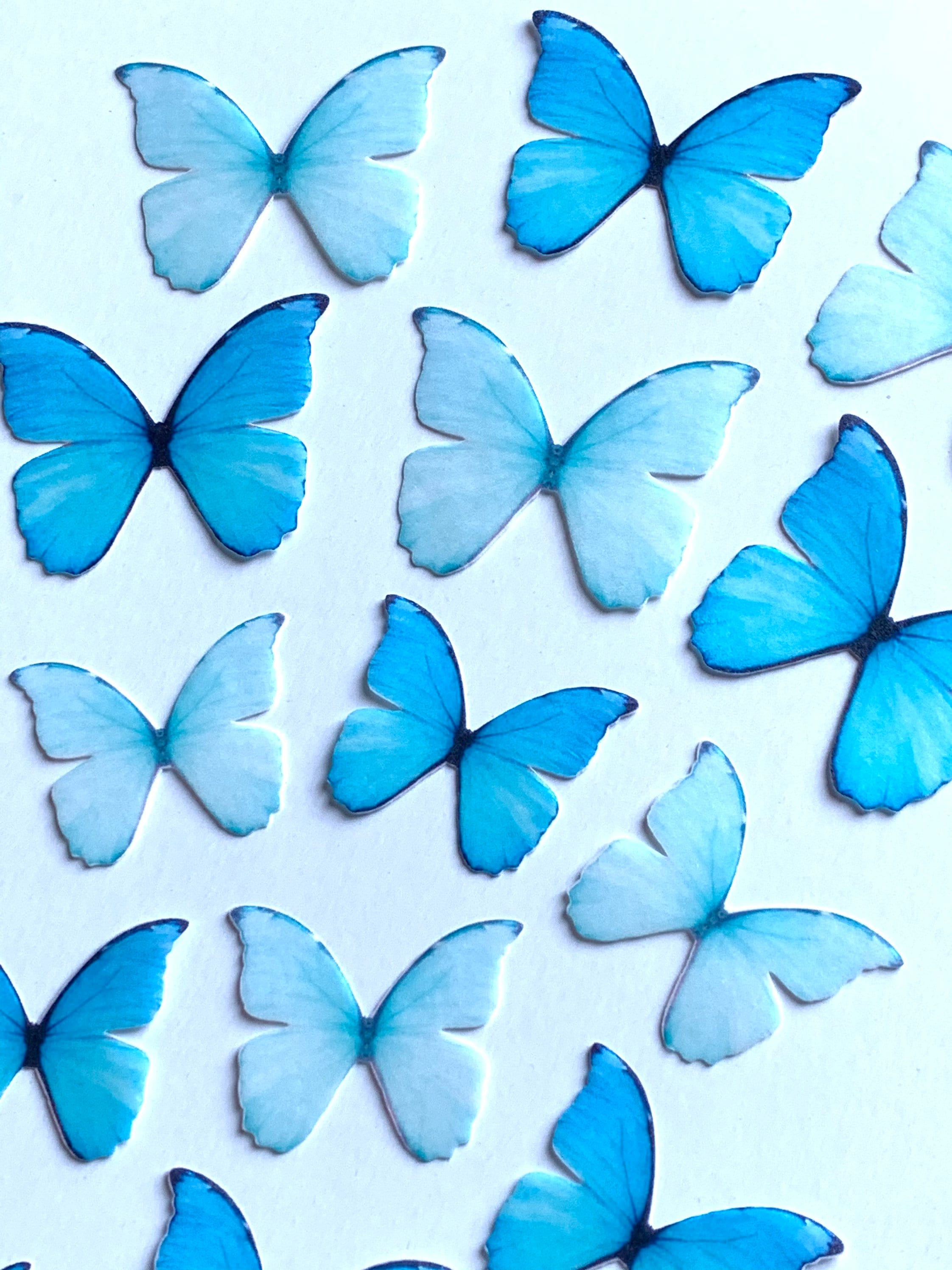 Aqua Crepe Paper Butterflies, Set of 2