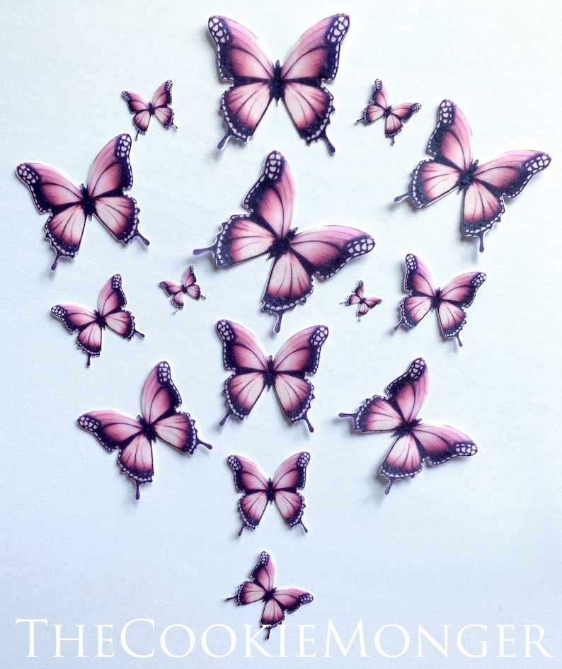 Edible Pink and Black Butterflies--14 PreCut Edible Butterflies