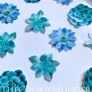 Edible Pre-Cut Wafer Paper Succulents