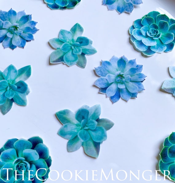 Edible Pre-Cut Wafer Paper Succulents