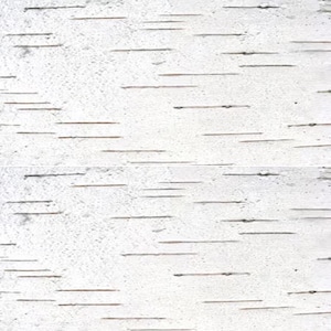 Birch Bark Edible Paper Cake Wrap