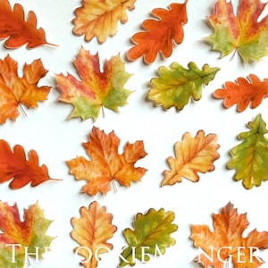 May include: An assortment of colorful autumn leaves in shades of orange, yellow, and green, scattered on a white background. The leaves vary in shape and size, with some displaying intricate vein patterns. The text "THE OCKIE KIE NGER" is visible at the bottom.