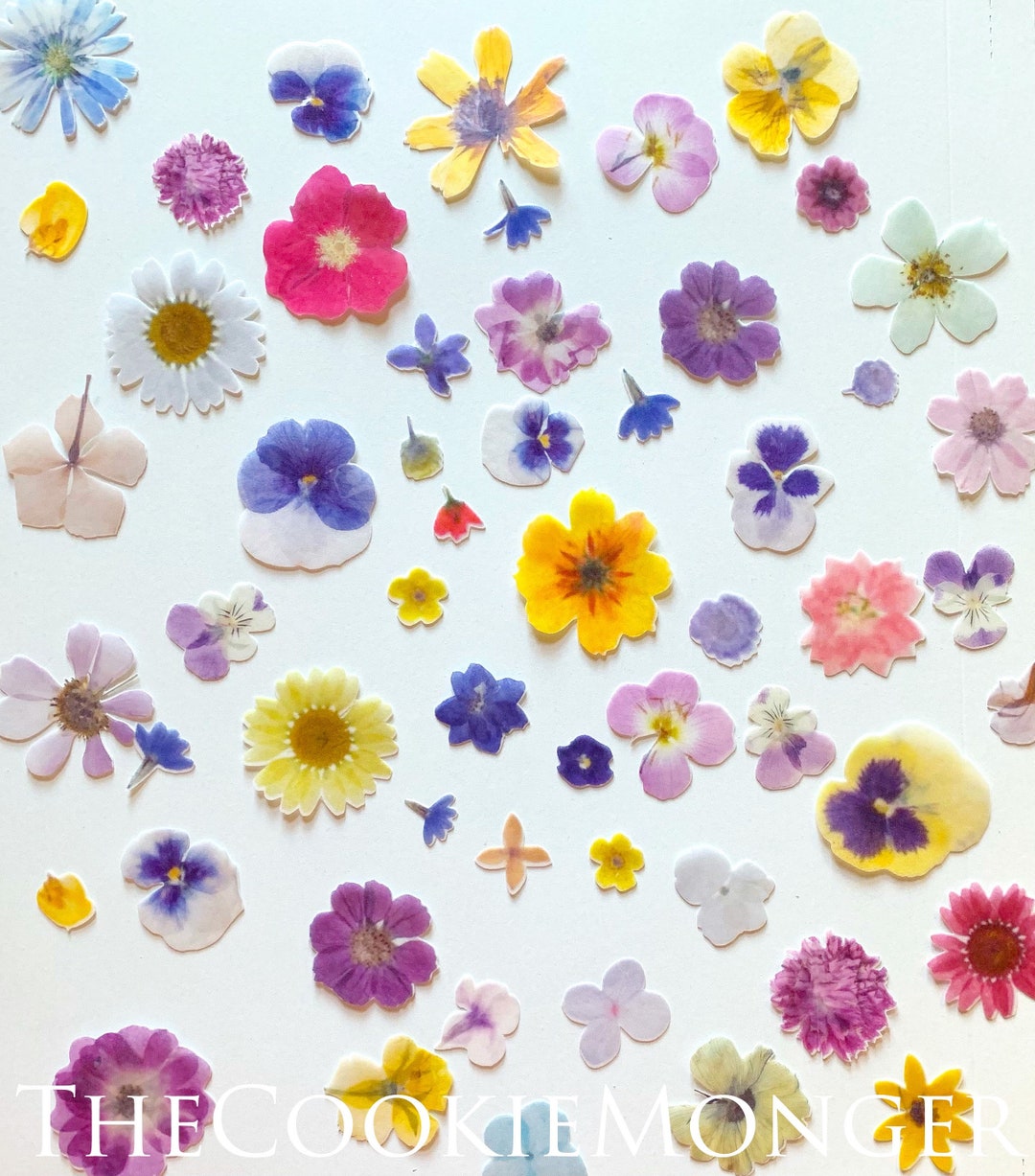 Edible Printed Precut 2D Wafer pressed Flower Cutouts Etsy