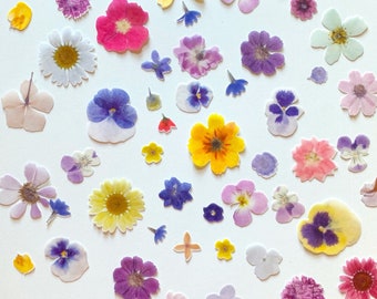 Edible Printed Precut 2D Wafer “Pressed” Flower Cutouts