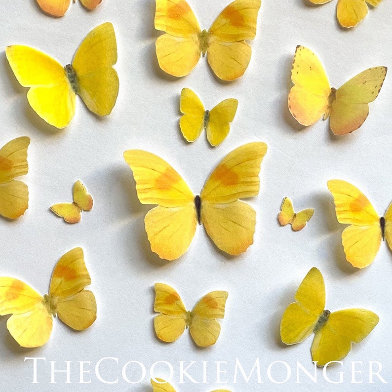 Encanto Yellow Edible Pre-Cut 3D Wafer Paper Butterflies--14 Edible Butterflies 