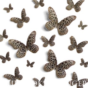Leopard Print Edible Pre-Cut 3D Wafer Paper Butterflies--14 Multi-Sized Edible Butterflies