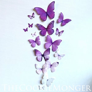 Intense Gradient Edible Butterflies--14 Pre-Cut Edible 3D Butterflies