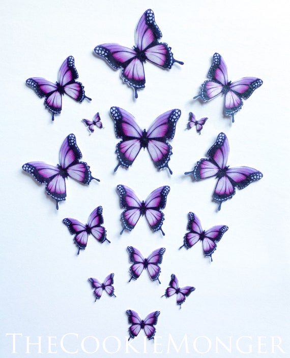Papillon comestible -  France