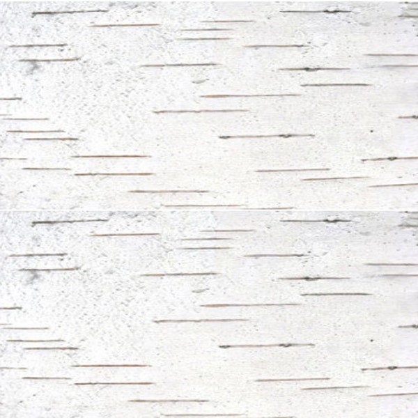 birch-bark-sheets-etsy