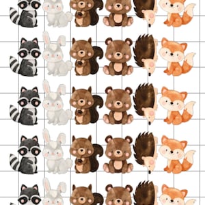 Edible Cutouts Woodland Animals