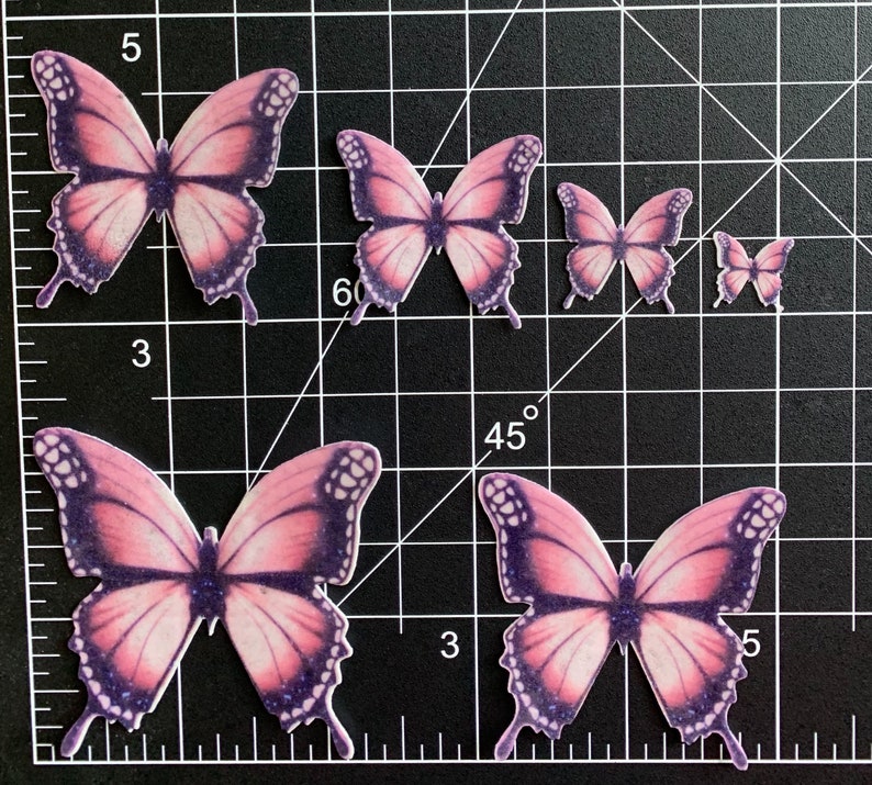 Edible Pink and Black Butterflies--14 PreCut Edible Butterflies