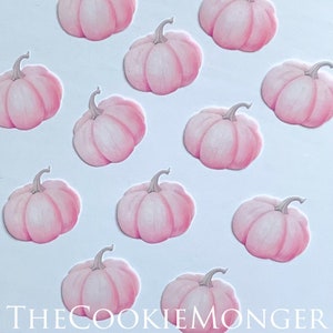 Edible Pink Pre-Cut Wafer Paper Pumpkins