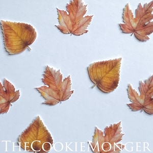Edible Pre-Cut Fall Leaves Wafer Paper