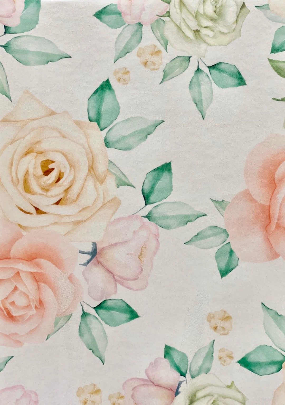 Ivory and Peach Roses on White Edible Paper - Etsy