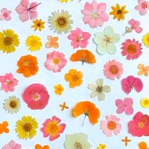 Edible Printed Precut 2D Wafer “Pressed” Flower Cutouts—Pink, Orange and Yellow