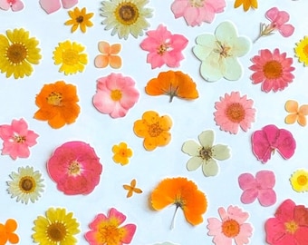 Edible Printed Precut 2D Wafer “Pressed” Flower Cutouts—Pink, Orange and Yellow