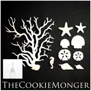 6B’s Combo • Underwater Mix Edible Flair and a 10 ml squeeze bottle