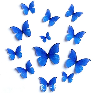 Indigo Blue Edible Pre-Cut 3D Wafer Paper Butterflies--12 Edible Butterflies