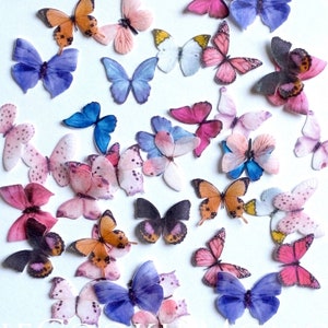 Small Wild Edible Butterflies--Small 1” Pre-Cut Edible 3D Butterflies