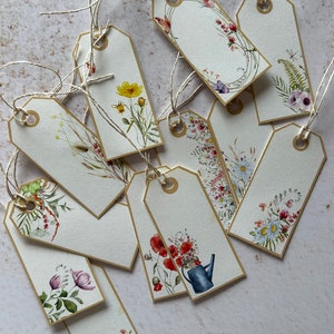 Tarjetas de lugar de país