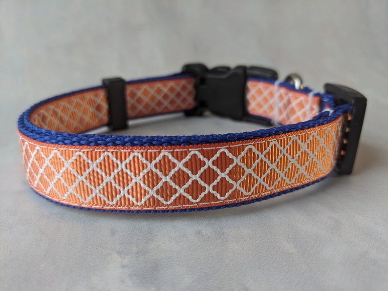 Dog Small Collar 34 wide adjustable length Orange on Blue