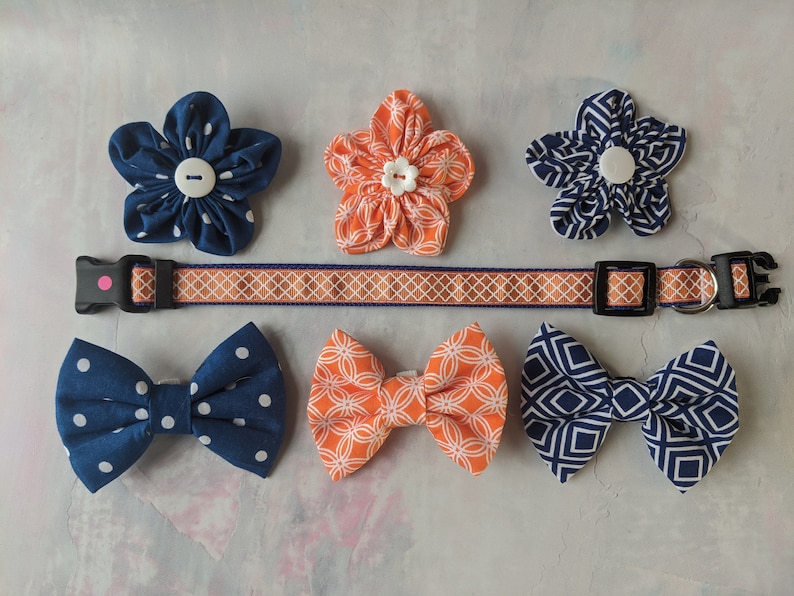 Dog Small Collar 34 wide adjustable length Orange on Blue