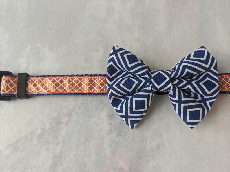 Dog Small Collar 34 wide adjustable length Orange on Blue