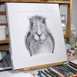 Lop Ears, Hare art, hare in pencil, Limited Edition, Signed Print, graphite art, pencil art, wall art, by al hayball