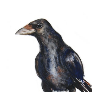 Carrion Crow art, ORIGINAL, watercolour painting, 16 x 12, bird art, Corvid Watercolor, Birder, Birding, Bird Decor, Minimalist, wall art,