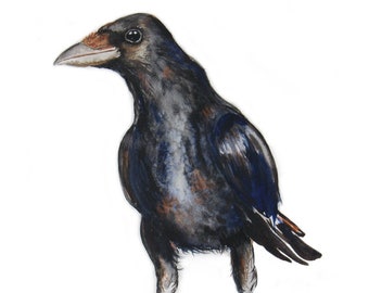 CROW, limited edition print, from a Watercolour, Bird Watercolour, Bird Decor, Carrion Crow print, Nature Art, wall art, Minimalist,