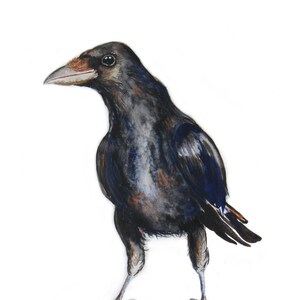 KRÄHE, limitierter Druck, von einem Aquarell, Vogel Aquarell, Vogel-Dekor, Aaskrähe Druck, Naturkunst, Wandkunst, minimalistisch,