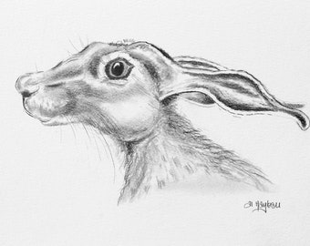 ORIGINAL pencil drawing, of a HARE profile, graphite, contemporary, wall art, hare art, wildlife art,