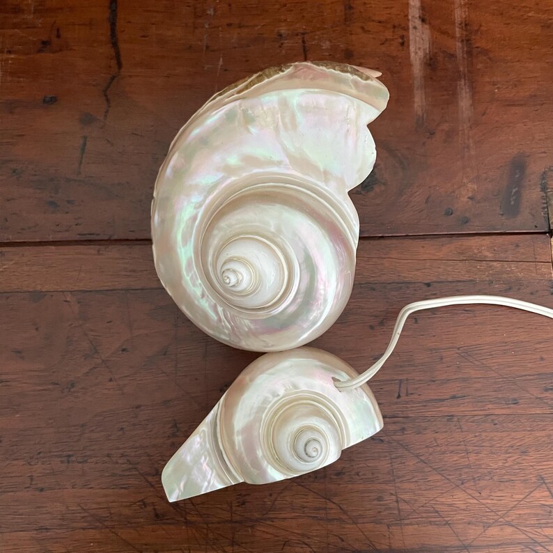 Vintage Turbo Shell Boudoir Lamp Mother of Pearl Turban Carved Palm Tree 7-1/2" image 7