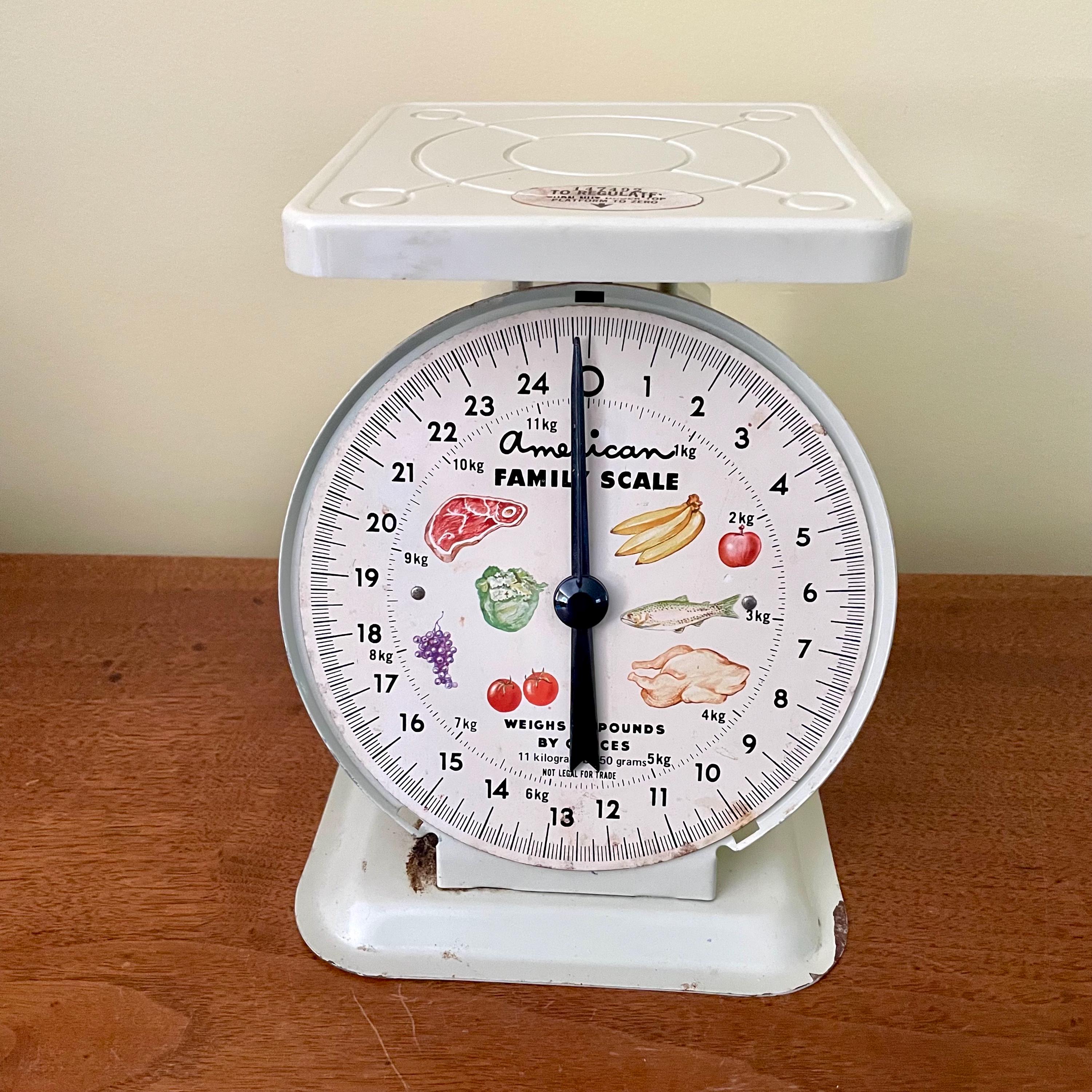 American Family Scale - Etsy