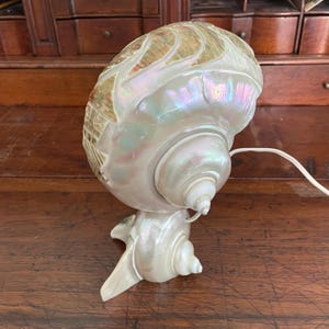 May include: A pearlescent nautilus shell lamp with a carved top and a small base. The lamp has a white cord and is set on a wooden surface. The shell has iridescent colors of pink, green, and gold.