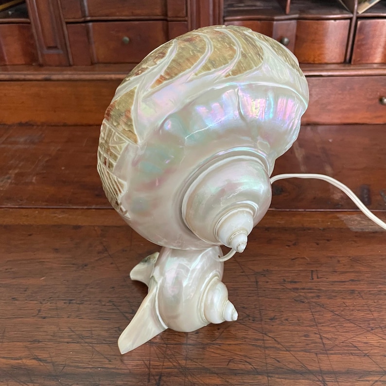 May include: A pearlescent nautilus shell lamp with a carved top and a small base. The lamp has a white cord and is set on a wooden surface. The shell has iridescent colors of pink, green, and gold.