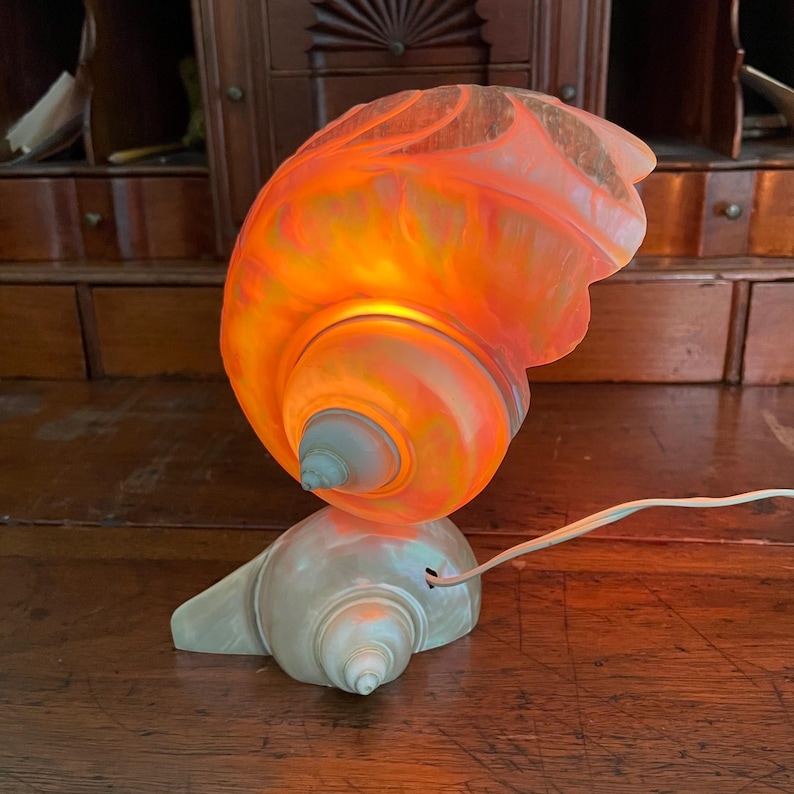 May include: A seashell-shaped lamp with a warm orange glow emanating from within. The lamp sits on a white seashell base and has a white power cord. The lamp is made of glass and is a decorative lighting fixture.