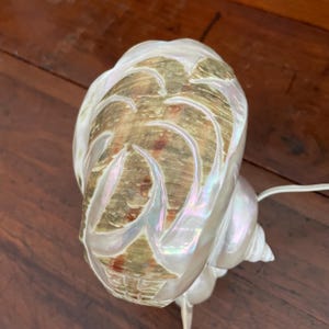 May include: A pearlescent, carved seashell lamp with a swirling design. The lamp has a natural, iridescent finish and a white cord. The shell is set against a dark wood surface.