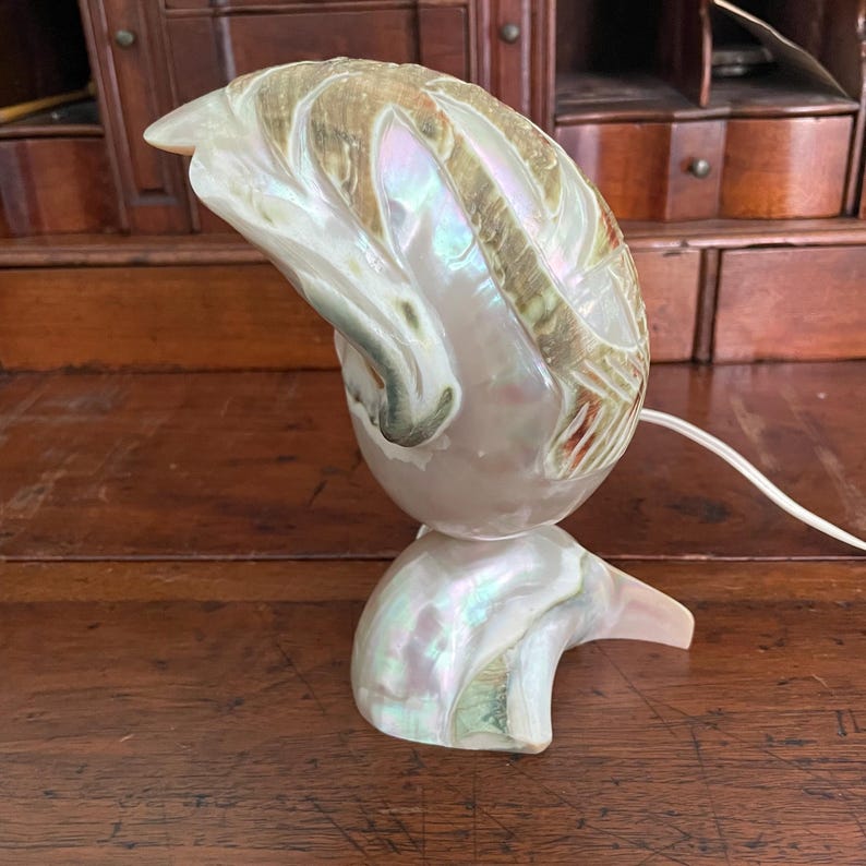 May include: A pearlescent nautilus shell lamp with a white cord. The lamp has a large, textured shell shade and a smaller, curved base. The shell has iridescent colors of white, green, and gold. The lamp is on a wooden surface.