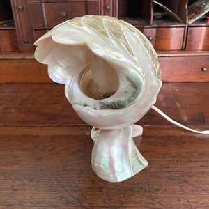 May include: A pearlescent seashell lamp with a scalloped edge. The lamp has a natural, iridescent finish with hints of green and pink. A white cord extends from the base. The lamp is on a wooden surface.