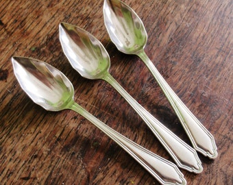 Vintage Grapefruit Spoons Shell Shaped Purcell Plate EPNS A1 Silver Plated