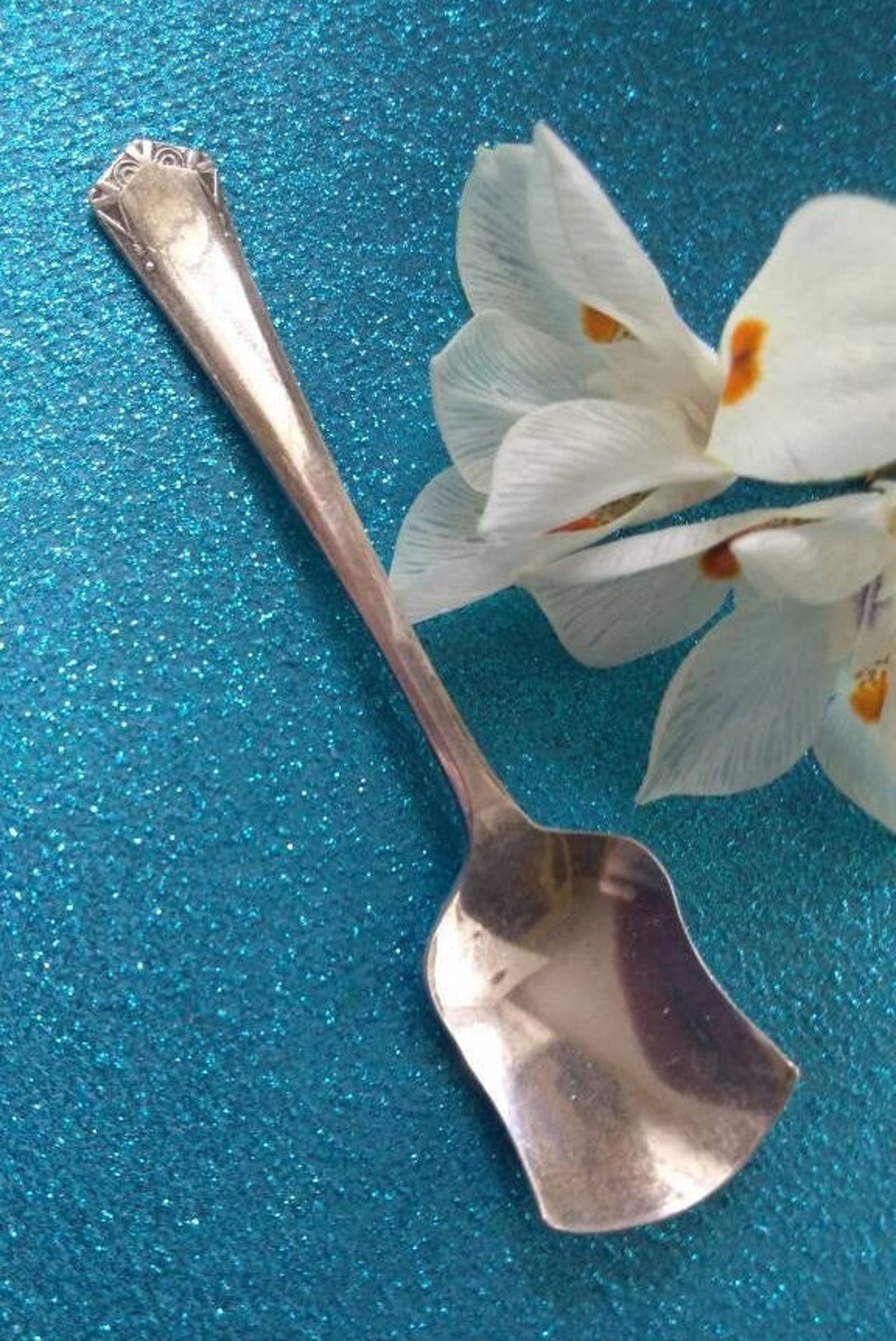 Silver Plated Sugar Spoon EPNS Sheffield England Sugar Etsy