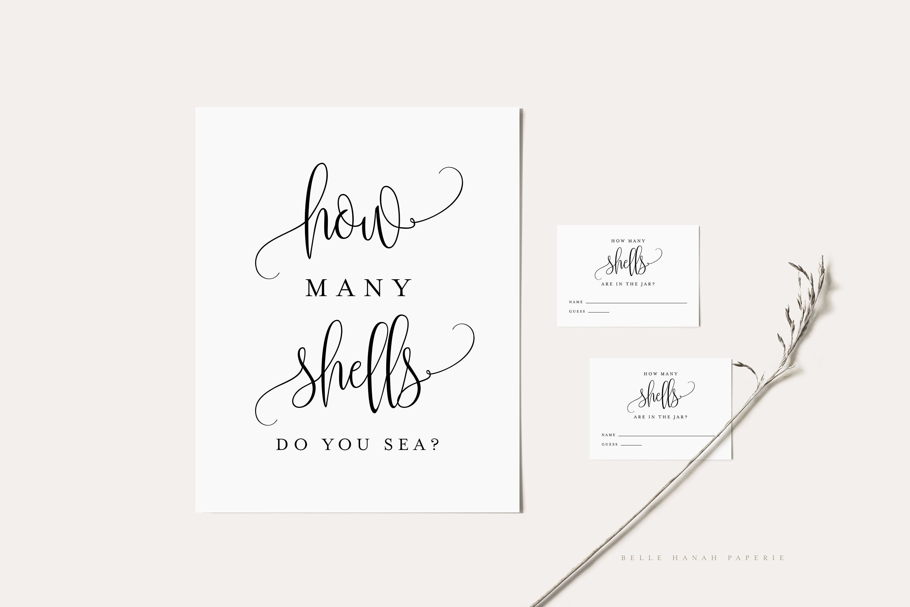 Printable How Many Shells Are in the Jar Card and Sign Bundle - Script ...
